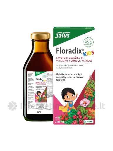 Floradix KIDS – skystoji geležies ir vitaminų formulė vaikams be glitimo, 250ml | internetinevaistine.lt