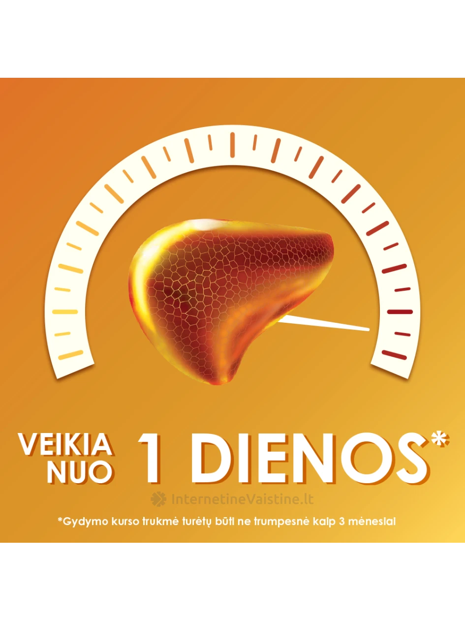 ESSENTIALE FORTE N 300MG KAPS. N30 | internetinevaistine.lt