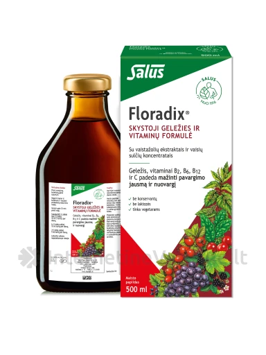 Floradix Skystosios geležies formulė, 500ml | internetinevaistine.lt