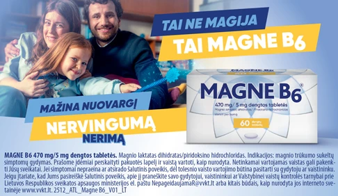 Magne B6