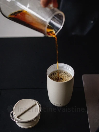 EQUA Termo puodelis Grey, 300 ml | internetinevaistine.lt