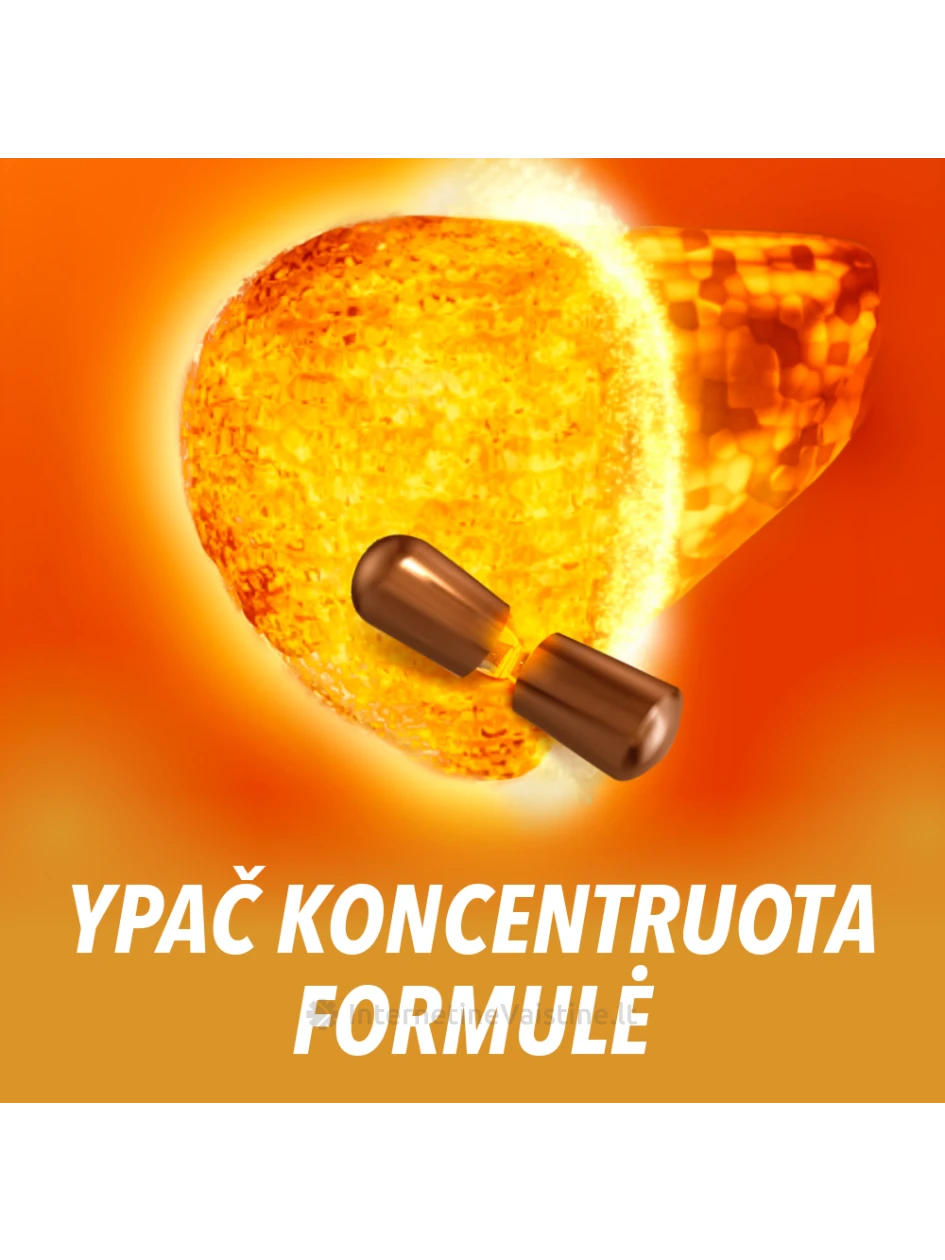 ESSENTIALE FORTE N 600MG KAPS. N30 | internetinevaistine.lt