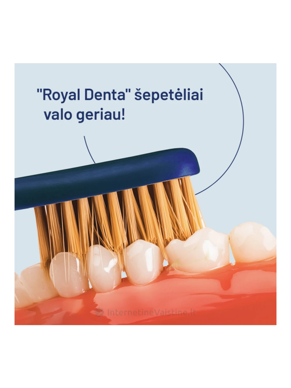 ROYAL DENTA dantų šepetėlių rinkinys GOLD SOFT MODERN, 4 vnt. | internetinevaistine.lt
