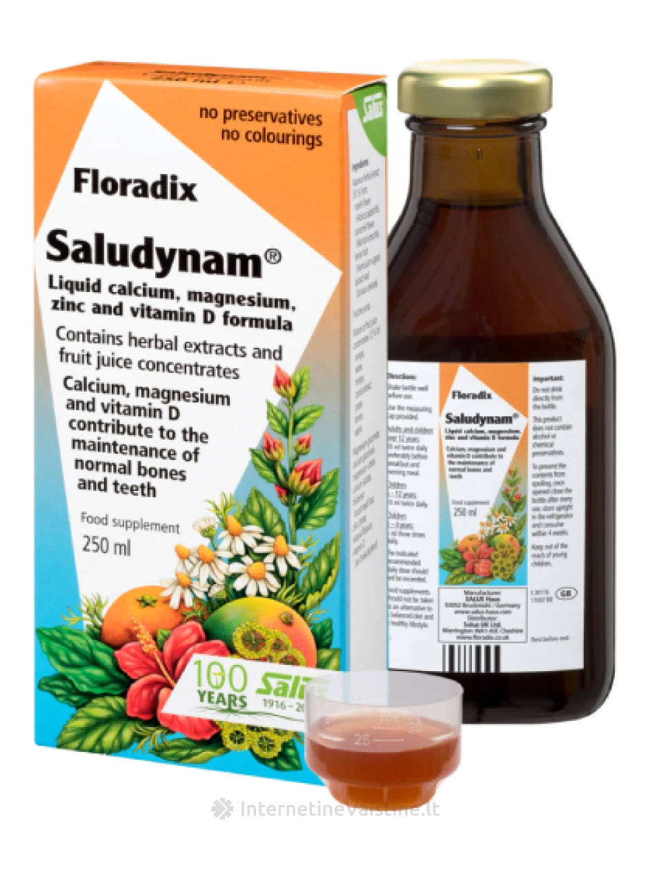 Floradix SALUDYNAM, 250ml | internetinevaistine.lt