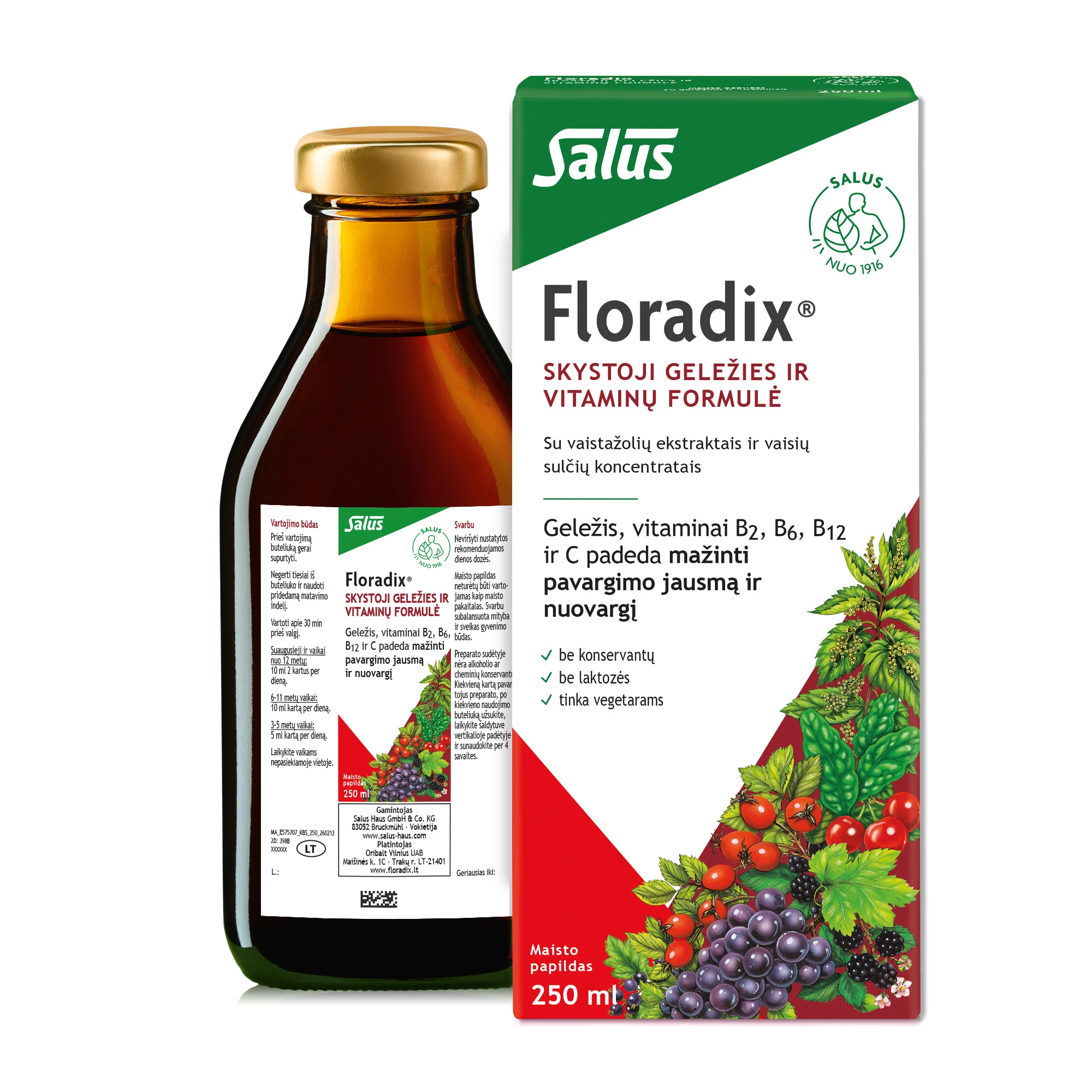 Floradix Skystoji geležies ir vitaminų formulė, 250 ml