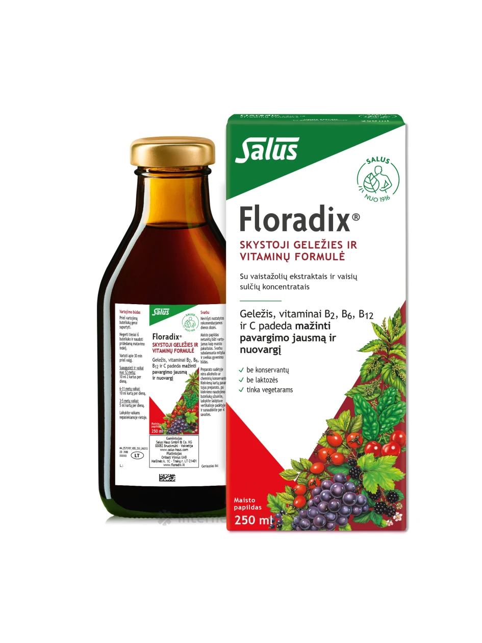 Floradix Skystosios geležies formulė, 250ml | internetinevaistine.lt
