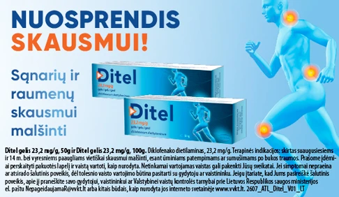 Ditel 26/08