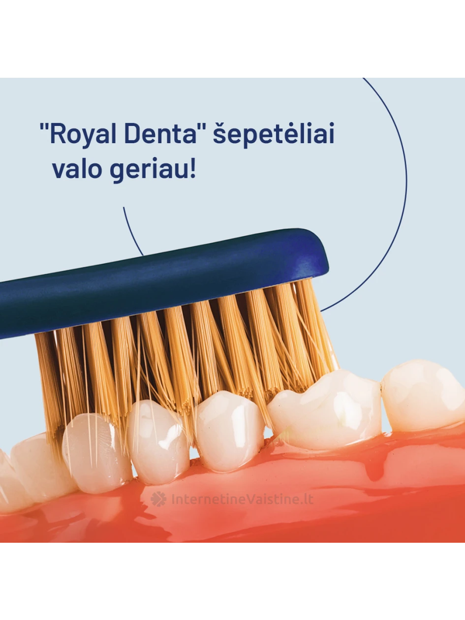 ROYAL DENTA dantų šepetėlių rinkinys GOLD MEDIUM, 4 vnt | internetinevaistine.lt