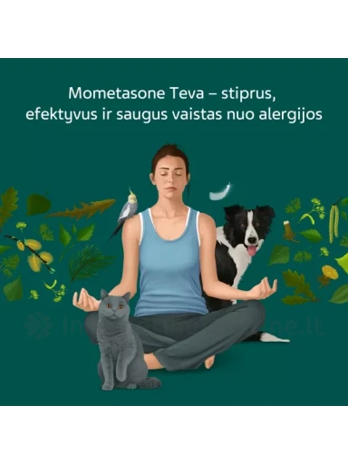 MOMETASONE TEVA 50 mcg/dozėje nosies purškalas 60 dozių | internetinevaistine.lt