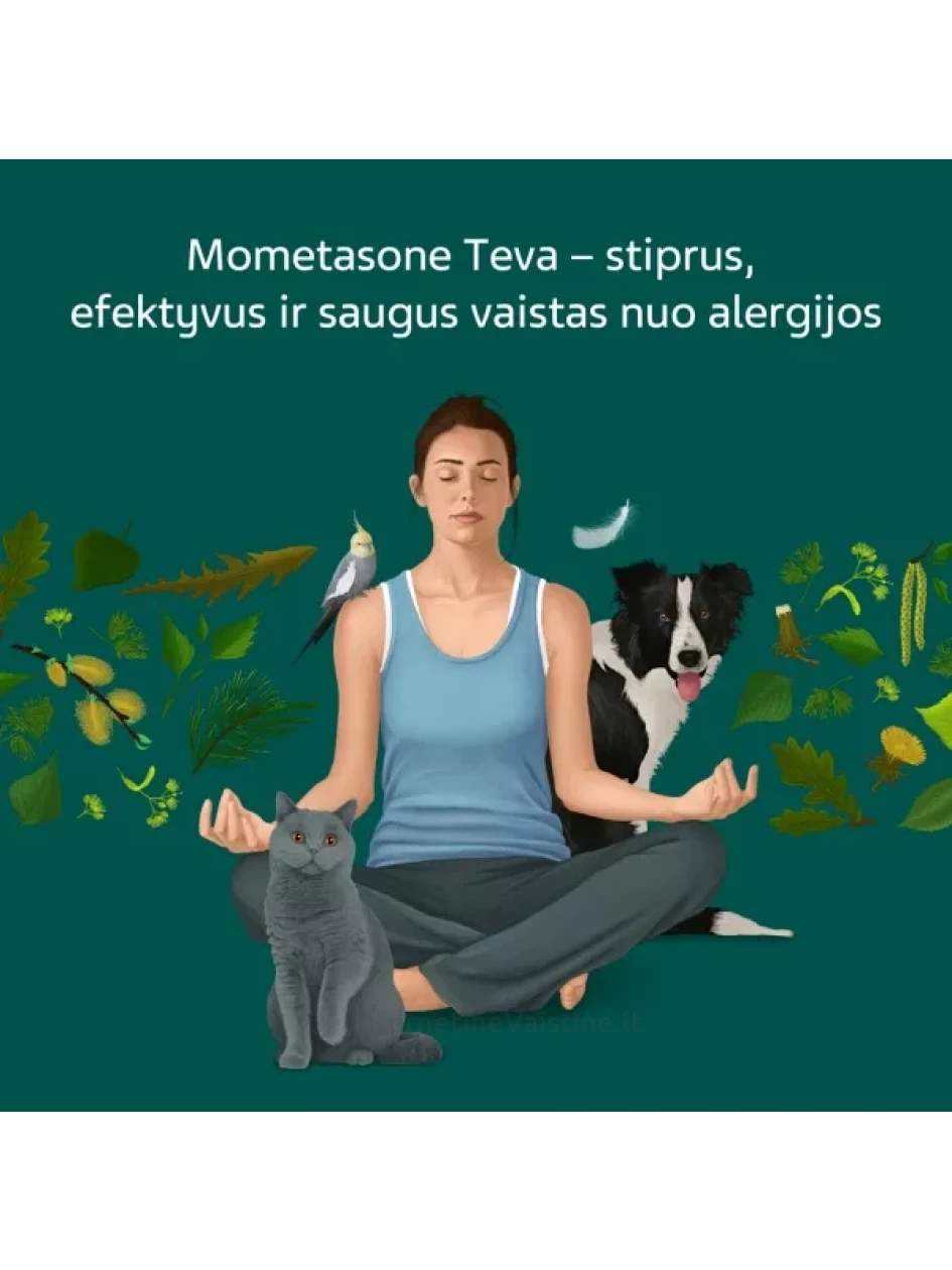 MOMETASONE TEVA 50 mcg/dozėje nosies purškalas 60 dozių | internetinevaistine.lt