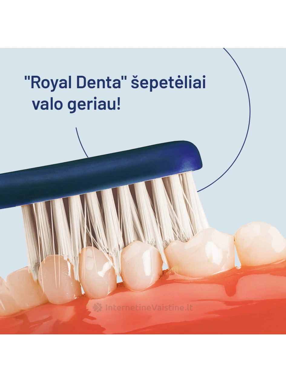 ROYAL DENTA dantų šepetėlių rinkinys SILVER MEDIUM (431), 4 vnt. (431) | internetinevaistine.lt