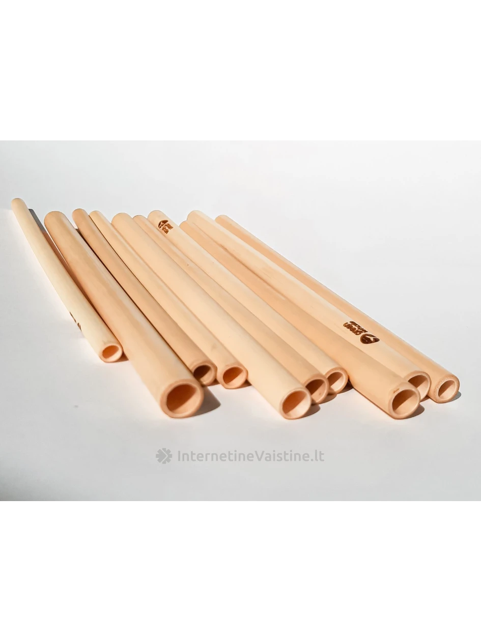 GREEN WHALE bambukiniai  šiaudeliai ir valymo šepetėlis, 10 vnt.+ 1vnt | internetinevaistine.lt