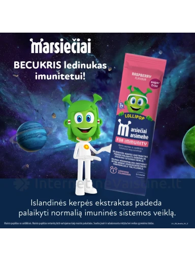 MARSIEČIAI maisto papildas RASPBERRY LOLLIPOPS,  ledinukas N1, Vnt | internetinevaistine.lt