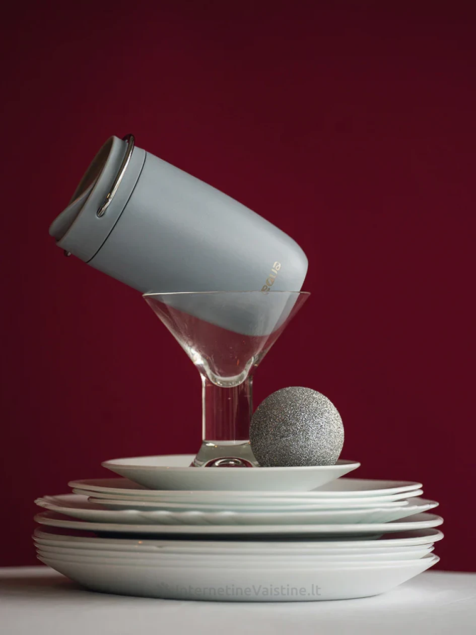 EQUA Termo puodelis Frost, 300 ml | internetinevaistine.lt