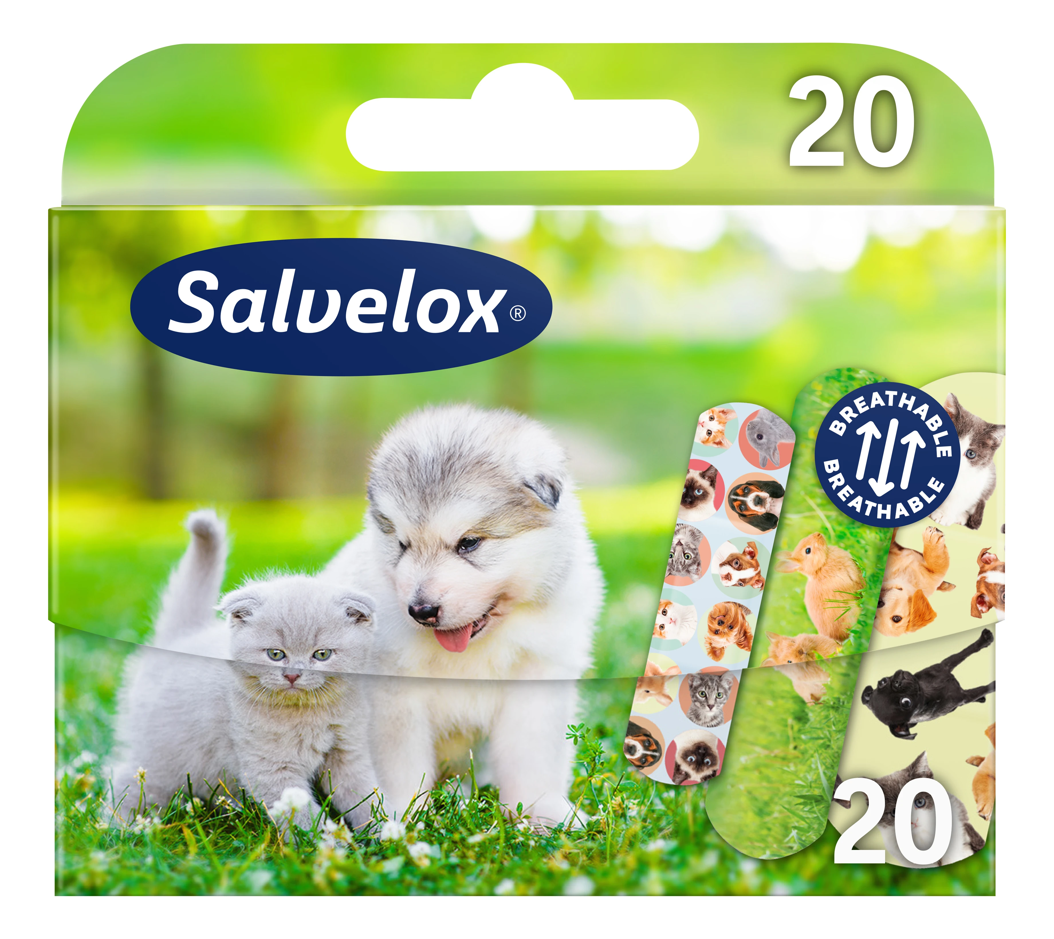 SALVEQUICK pleistrų rinkinys vaikams Animal Planet N20