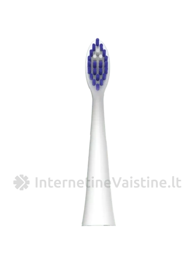 B. WELL elektrinis dantų šepetėlis MED-870, baltas, N1, Vnt | internetinevaistine.lt