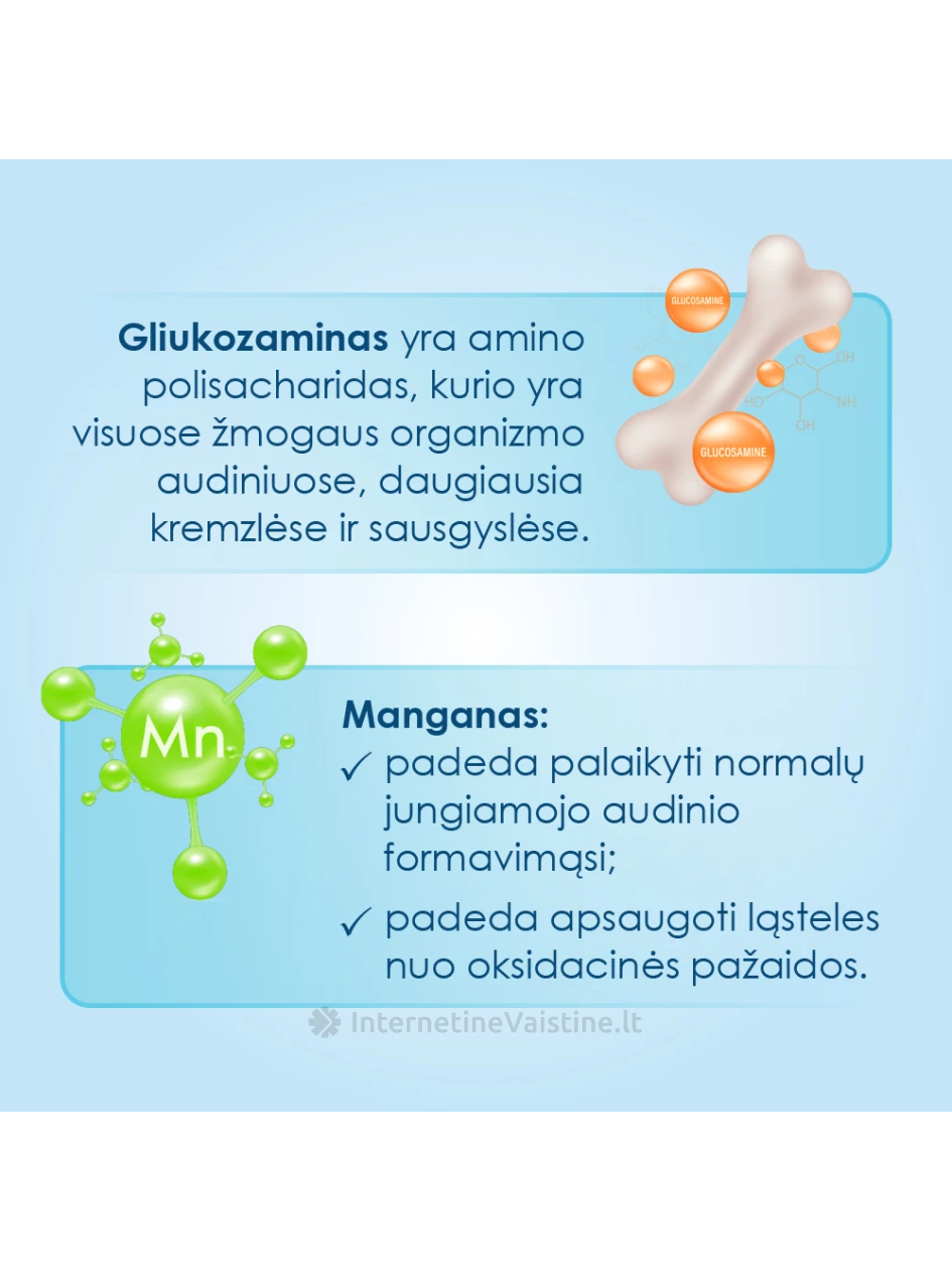 PROENZI ARTHROSTOP maisto papildas PLUS, tab. N100 | internetinevaistine.lt