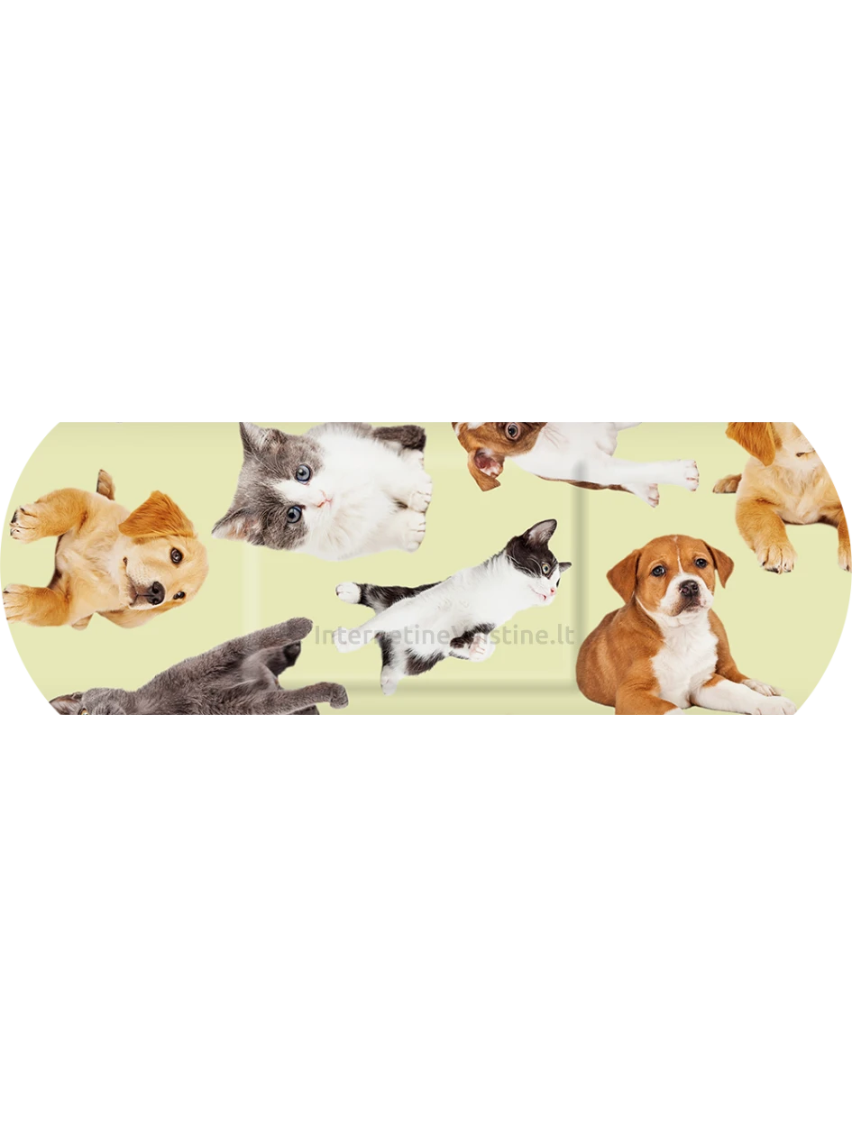 SALVEQUICK pleistrų rinkinys vaikams Animal Planet N20 | internetinevaistine.lt