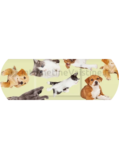 SALVEQUICK pleistrų rinkinys vaikams Animal Planet N20 | internetinevaistine.lt