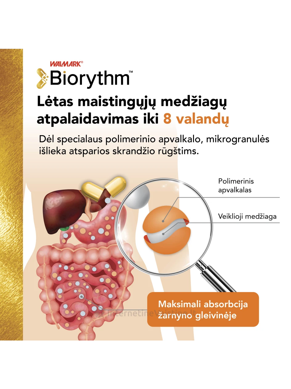 BIORYTHM Iron kaps. N30 | internetinevaistine.lt
