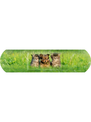 SALVEQUICK pleistrų rinkinys vaikams Animal Planet N20 | internetinevaistine.lt