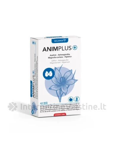 INTERSA LABS ANIMPLUS kaps. N42 | internetinevaistine.lt