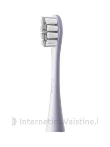 Dantų šep. OCLEAN X Pro Digital Set Silver elektrin. N1 | internetinevaistine.lt