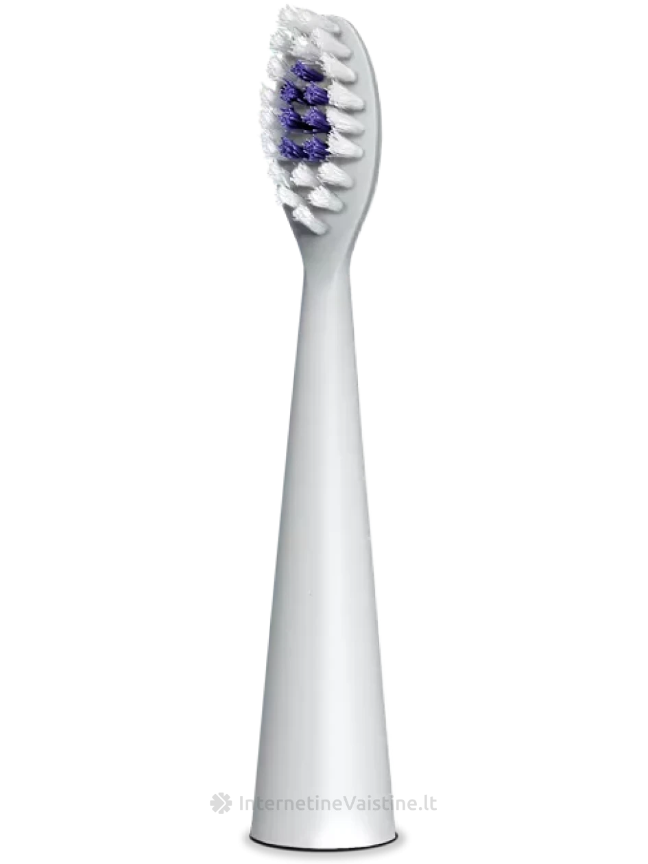 B. WELL dantų šepetėlio galvutės PRO-850, balta spalva, N2 | internetinevaistine.lt