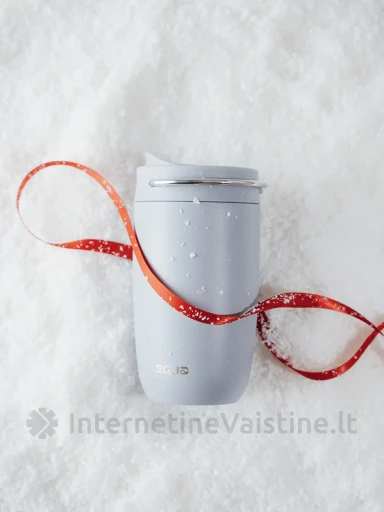 EQUA Termo puodelis Frost, 300 ml | internetinevaistine.lt