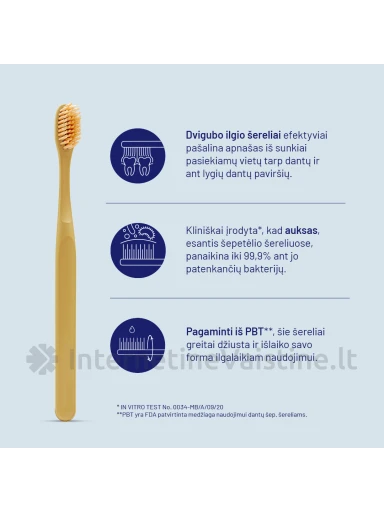 ROYAL DENTA dantų šepetėlių rinkinys GOLD MEDIUM, 4 vnt | internetinevaistine.lt