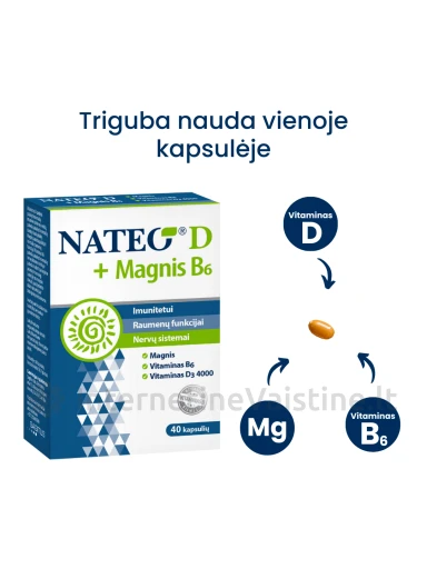 NATEO® D + Magnesium B6 IU4000, 40 kapsulių, 40 kapsulių | internetinevaistine.lt