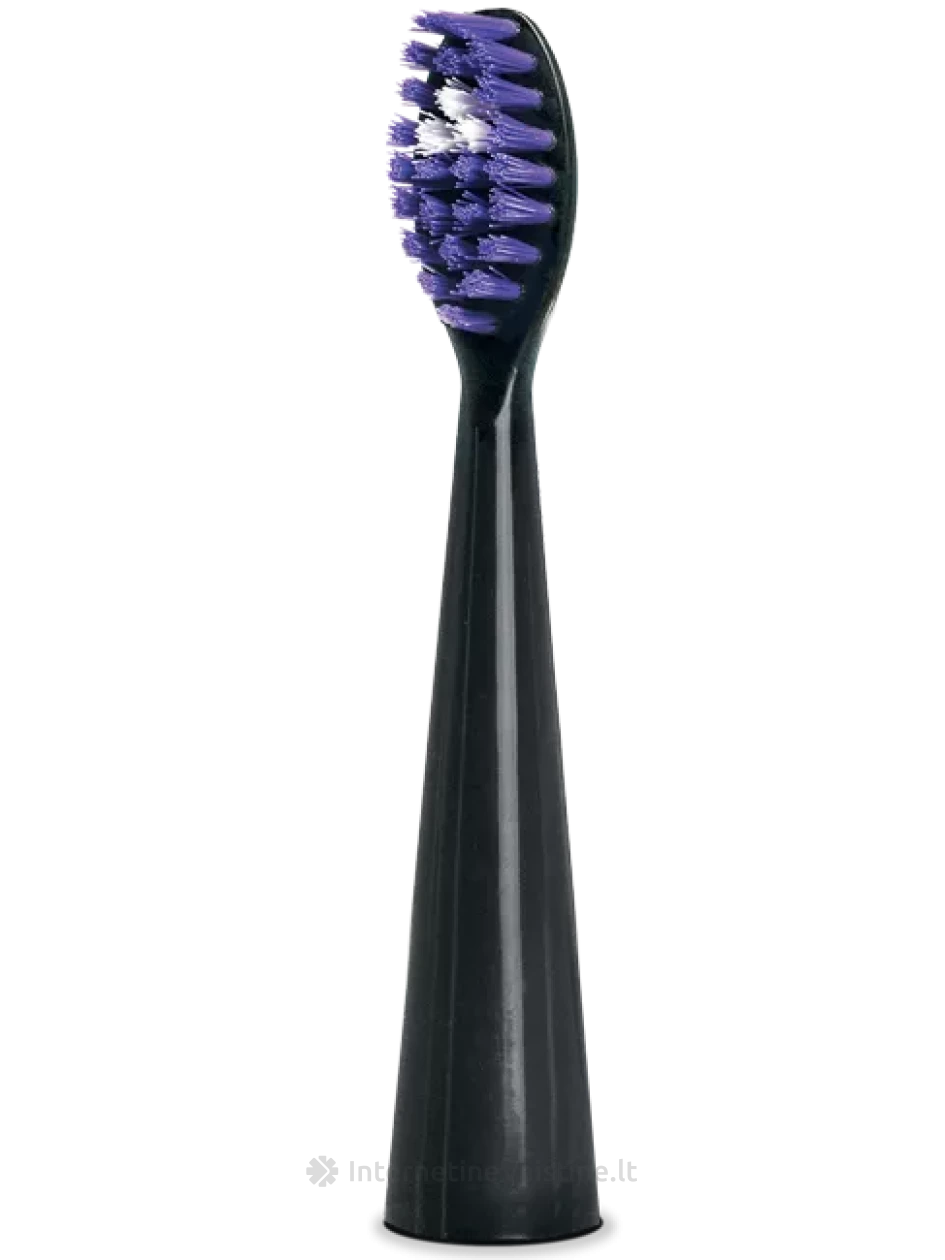 B. WELL dantų šepetėlio galvutės PRO-850, juoda spalva, N2 | internetinevaistine.lt