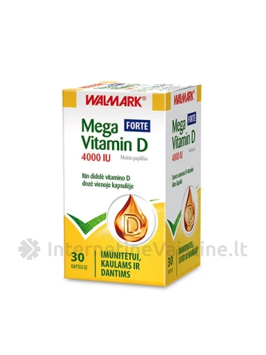 MEGA VITAMIN D 4000IU forte kaps. N30, 30 vnt. | internetinevaistine.lt