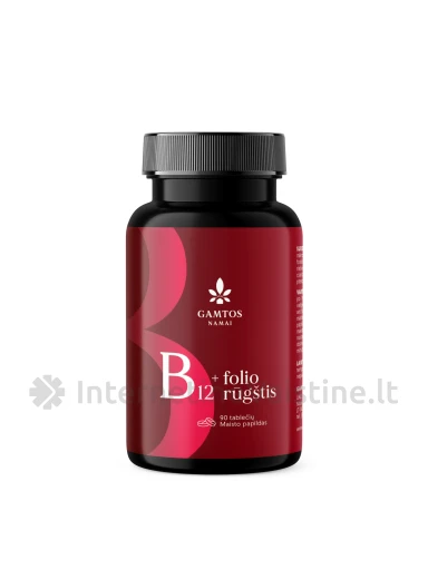 VIT. B12 + FOLIO RŪGŠTIS tab. N90, 90 vnt. | internetinevaistine.lt